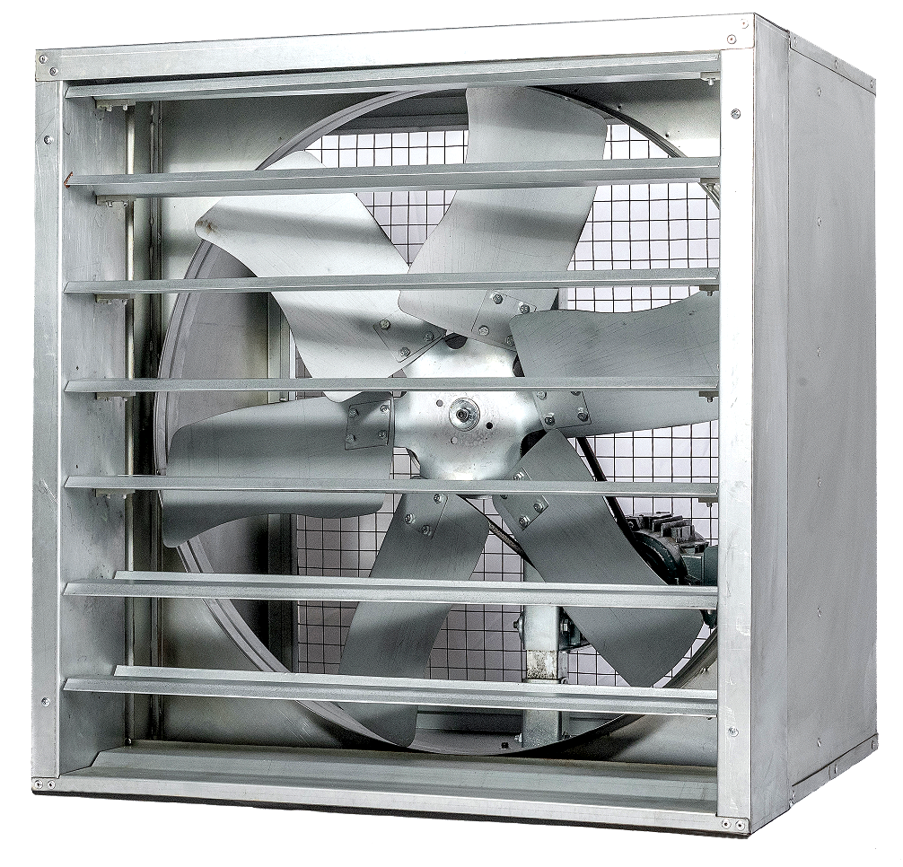 Outra Imagem de exemplo