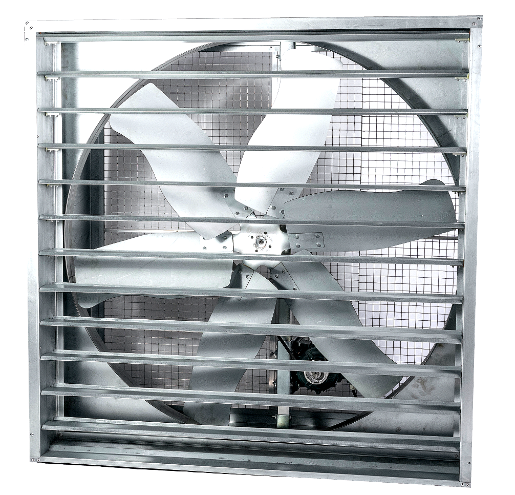 Outra Imagem de exemplo